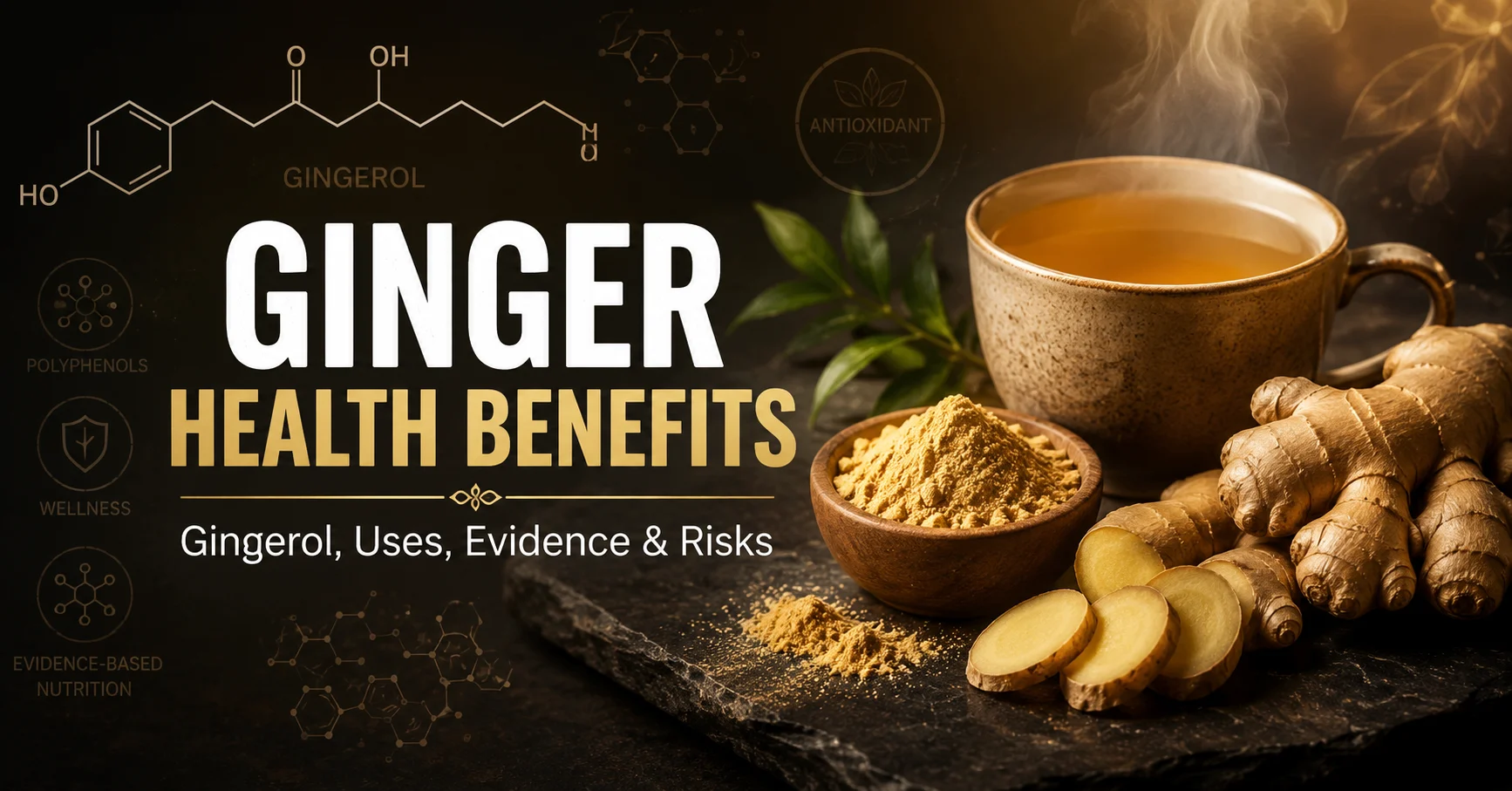 Gingerol benefits and ginger health benefits of fresh ginger root